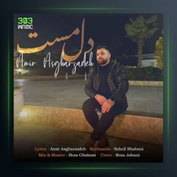 آهنگ دل مست از امیر اصغرزاده