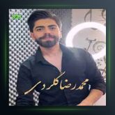 آهنگ دلبر جذاب از محمدرضا گلردی