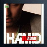 آهنگ دوست دارم از حمید آداب