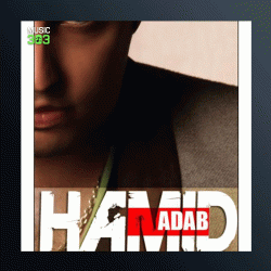 آهنگ دوست دارم از حمید آداب