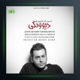 آهنگ دیوونگی از حسین قربانپور