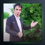 آهنگ زور داره از هومن پناهی