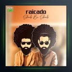 آهنگ شب به شب از رایکادو