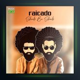 آهنگ شب به شب از رایکادو