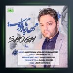 آهنگ شوق از مهدی بابادوست