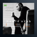 آهنگ صدامو میشنوی از حمید آداب