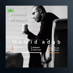 آهنگ صدامو میشنوی از حمید آداب