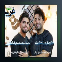 آهنگ غریبه از محمدرضا گلردی و پوریا گلردی