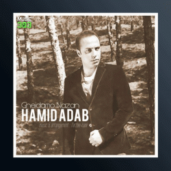 آهنگ قیدمو نزن از حمید آداب