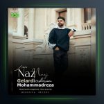 آهنگ ناز نازی از محمدرضا گلردی