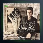 آهنگ چن ناز داری از سعید ستین
