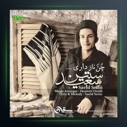 آهنگ چن ناز داری از سعید ستین