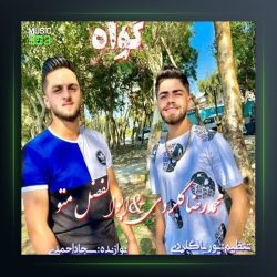 آهنگ گواه از محمدرضا گلردی و ابوالفضل متو