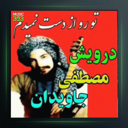 آهنگ تو را از دست نمیدم از درویش مصطفی جاویدان