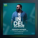 آهنگ این دل عاشقه از هامون هاشمی