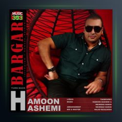 آهنگ برگرد از هامون هاشمی