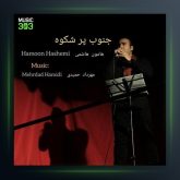 آهنگ جنوب پر شکوه از هامون هاشمی