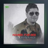 -آهنگ حامد وفایی دیوونم کردی