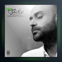 آهنگ حامی بی تو نمیتونم