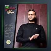 آهنگ حامی شوق تنهایی