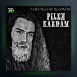 آهنگ حمید رضا قربانی پیله کردم