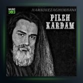 آهنگ حمید رضا قربانی پیله کردم