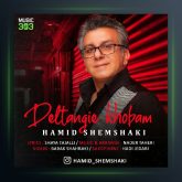 آهنگ حمید شمشکی دلتنگی خوبم