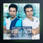 آهنگ حمید پیروزنیا تورو خیلی دوست دارم