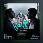 آهنگ دو راهی از هامون هاشمی و شاهین دوستانی