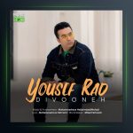 آهنگ دیوونه از یوسف راد