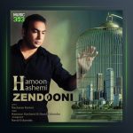 آهنگ زندونی از هامون هاشمی