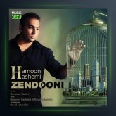 آهنگ زندونی از هامون هاشمی