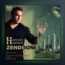 آهنگ زندونی از هامون هاشمی