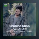 آهنگ شبیه خواب از یوسف کریمی