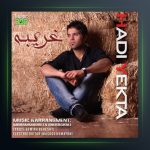 آهنگ غریبه از هادی یکتا