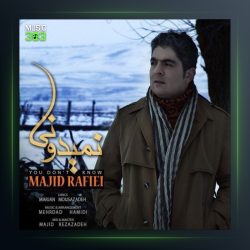 آهنگ نمیدونی از مجید رفیعی