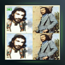 آهنگ مرد غریب از درویش مصطفی جاویدان