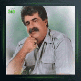 آهنگ کافیه بامناوا از نوری احمدی