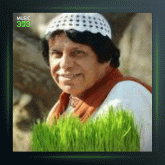 آهنگ گل ناز از محمود جهان