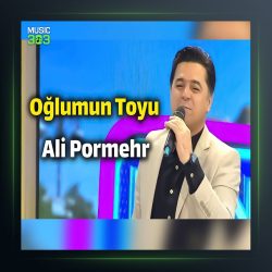 آهنگ اوغلومون تویو از علی پرمهر