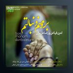 آهنگ برو منم دنبالتم از رضا عزیزان و امین فیاض