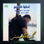 آهنگ تنها هرشو از گت آقا حسینی