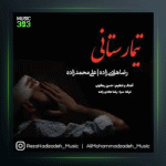 آهنگ تیمارستانی از رضا هادی زاده