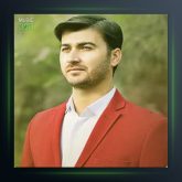 آهنگ جانم چه نگاری از مرتضی باب