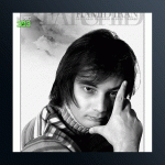 آهنگ حادثه از فرشید حمیدایران