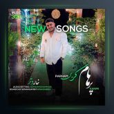 آهنگ خاله دتر از پرهام کریمی