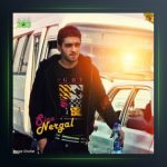 آهنگ درجه یک از سینا نرگال