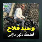 آهنگ دلبر از وحید فلاح