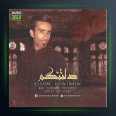 آهنگ دلتنگم از هاشم رمضانی