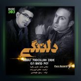 آهنگ دلتنگی از عباس یدالله زاده و اسی بندپی